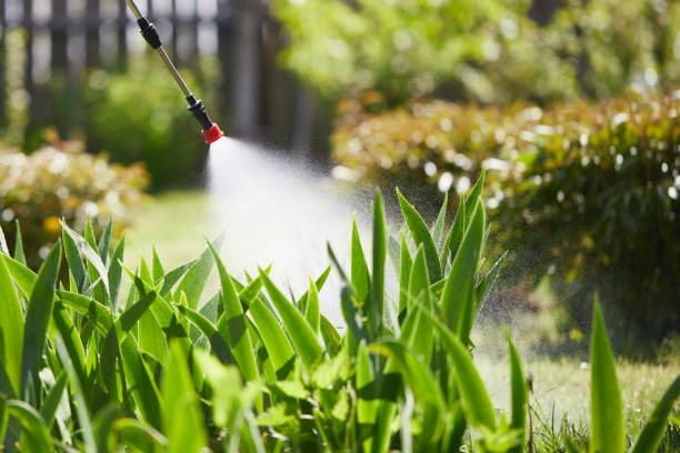 24/7 Emergency Cockroach Control experts in World Golf Village, FL