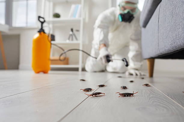 Affordable Cockroach Control solutions in World Golf Village, FL